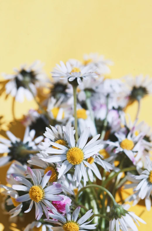 a bunch of white flowers are in a vase