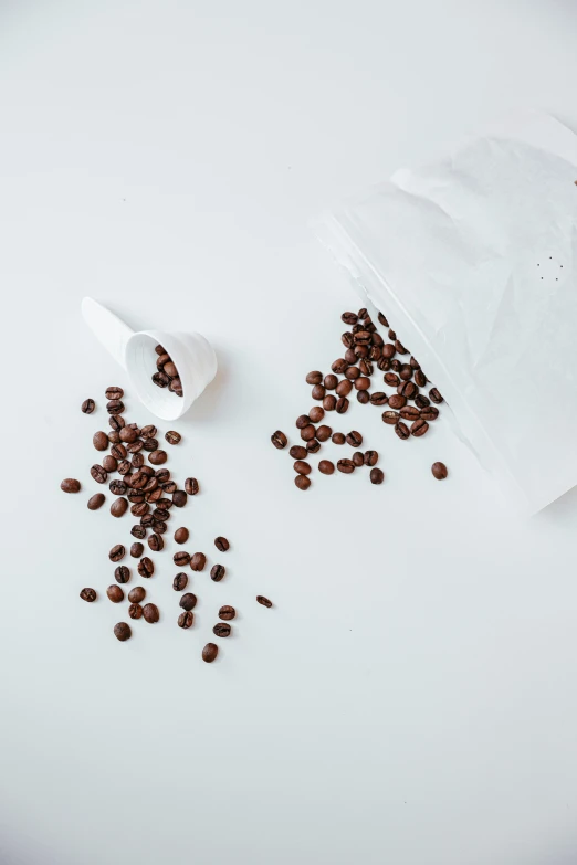 several seeds scattered over a white bag