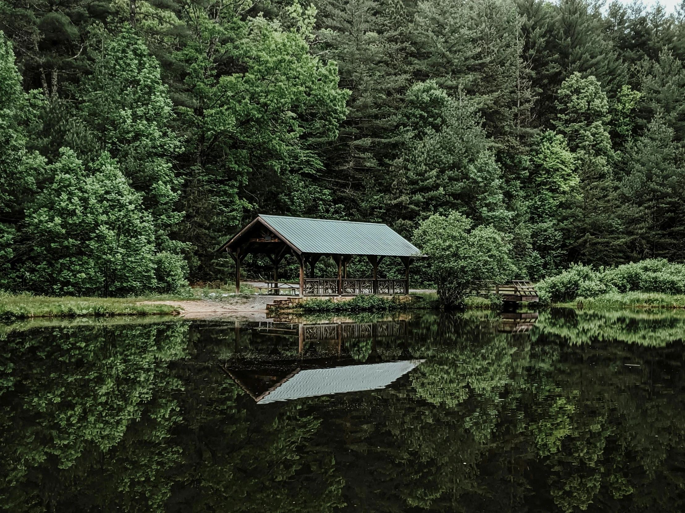 a dock and forest sitting on the side of a lake