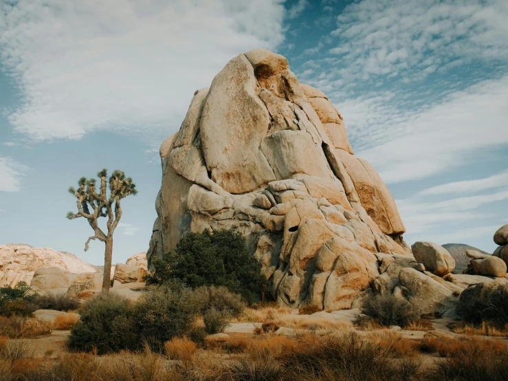 a large rock formation sitting among lush grass and trees