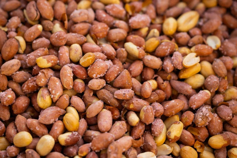 a close - up of a pile of nuts and other food