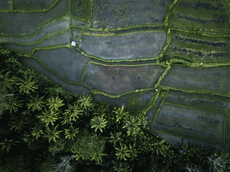 a green and grey landscape is seen from above