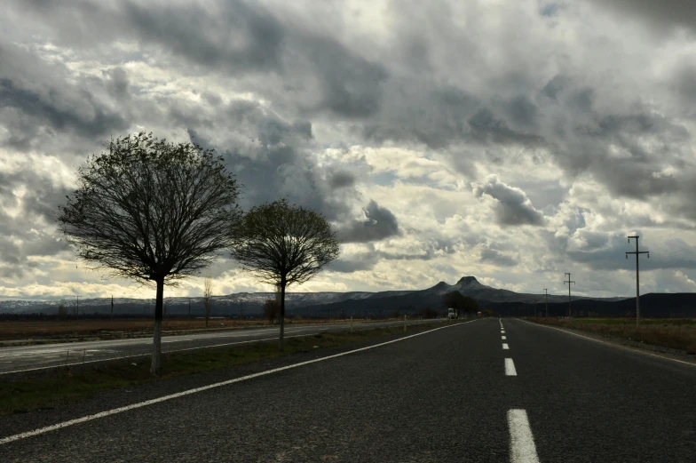 three trees are standing along a road that goes to a mountain