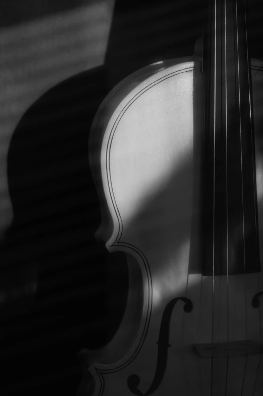 an upright cello is shown in black and white