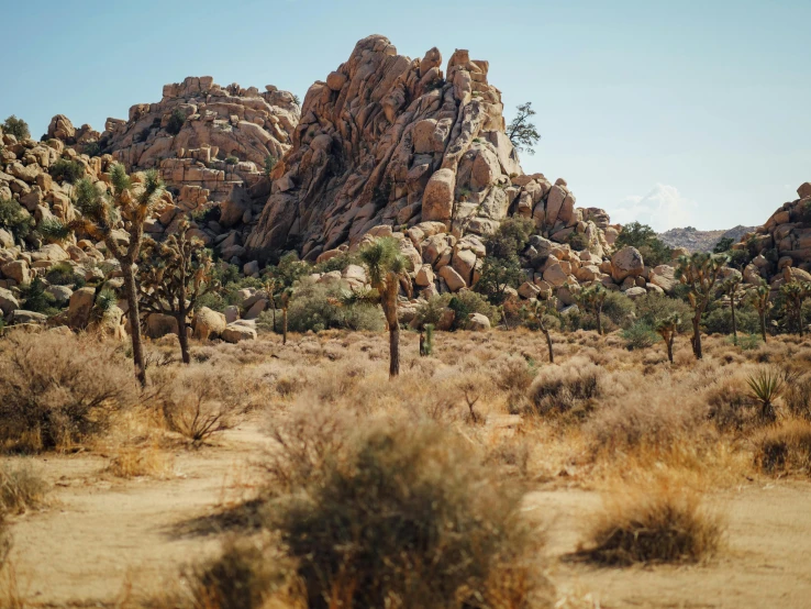 the barren desert is littered with rock formations and trees