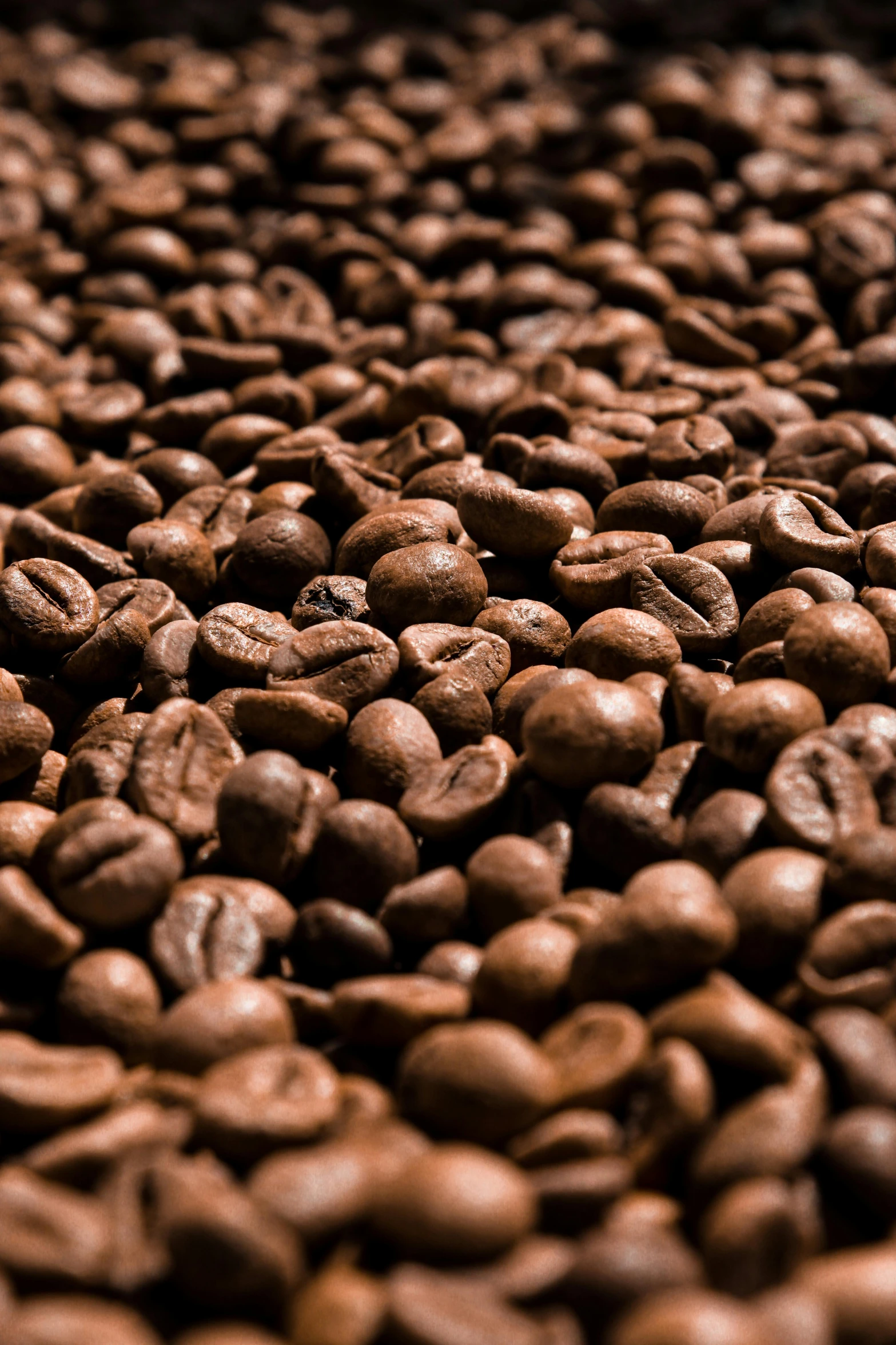 some coffee beans are in a pile