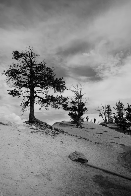 black and white po of the top of a mountain