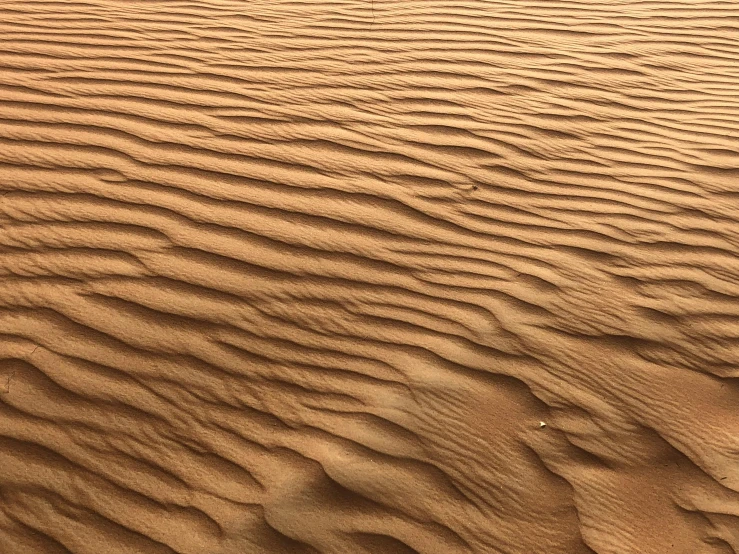 sand dunes and ripples in the distance