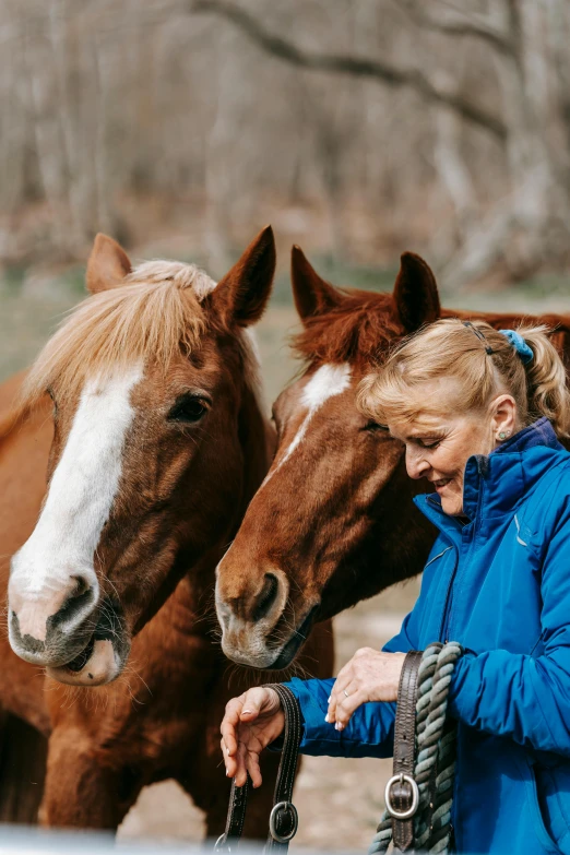 a woman is petting some horses in an enclosed area