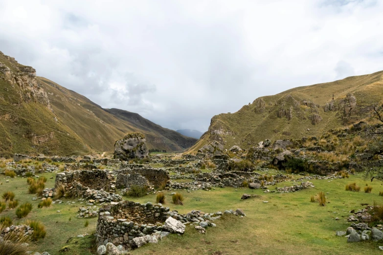 a lush green field filled with lots of rocks