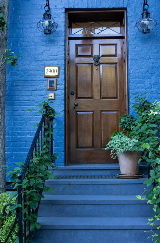 two potted plants are sitting on the stairs in front of a door