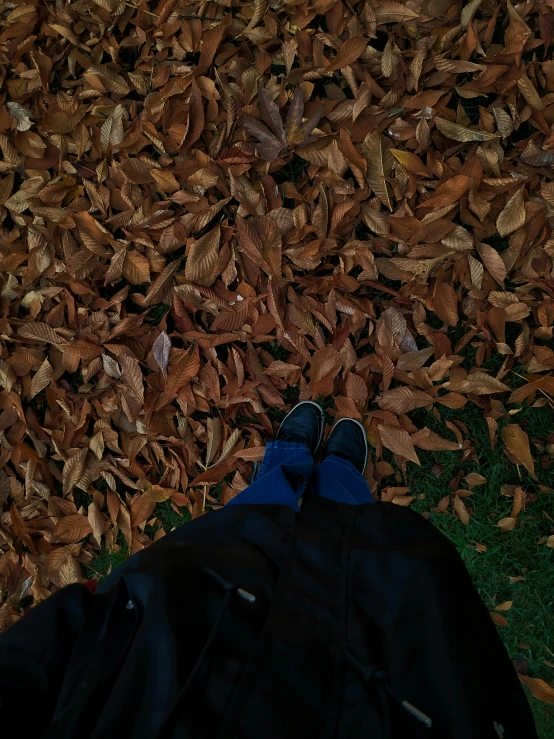 someone is standing in front of the leaves