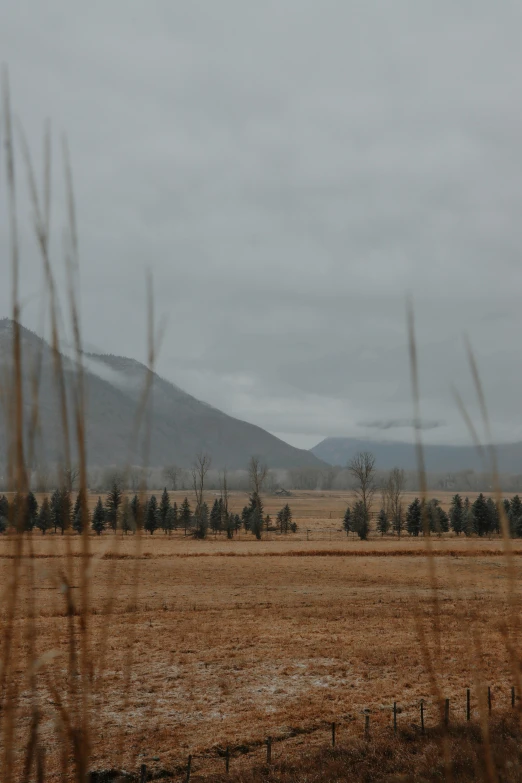 a field is shown with mountains and fog in the background