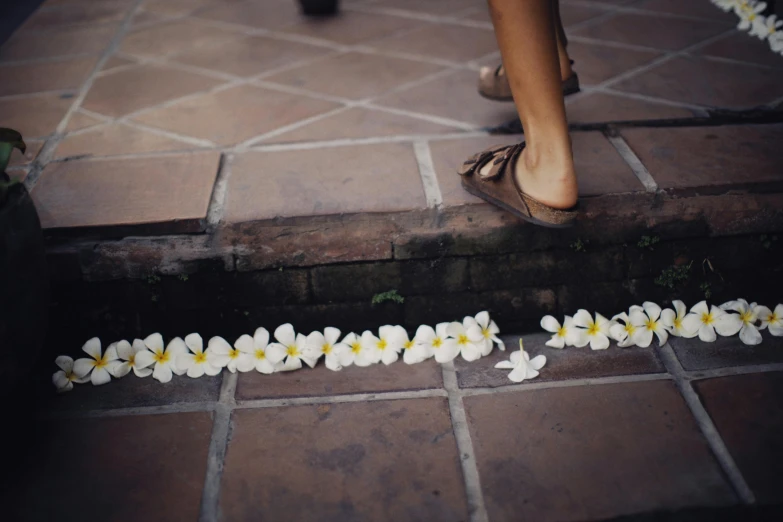 an open foot walking down the aisle of flowers