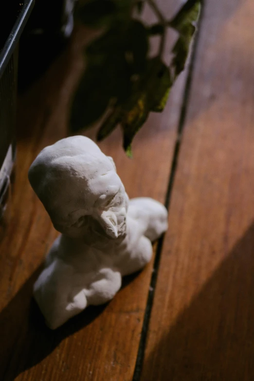 a stuffed bear is lying on the floor next to a potted plant