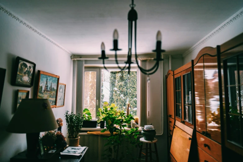 a living room with potted plants next to a window