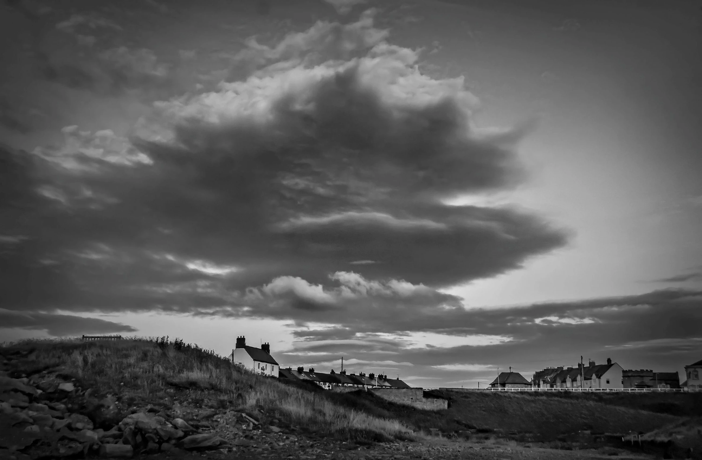 black and white pograph of a beach with seagulls