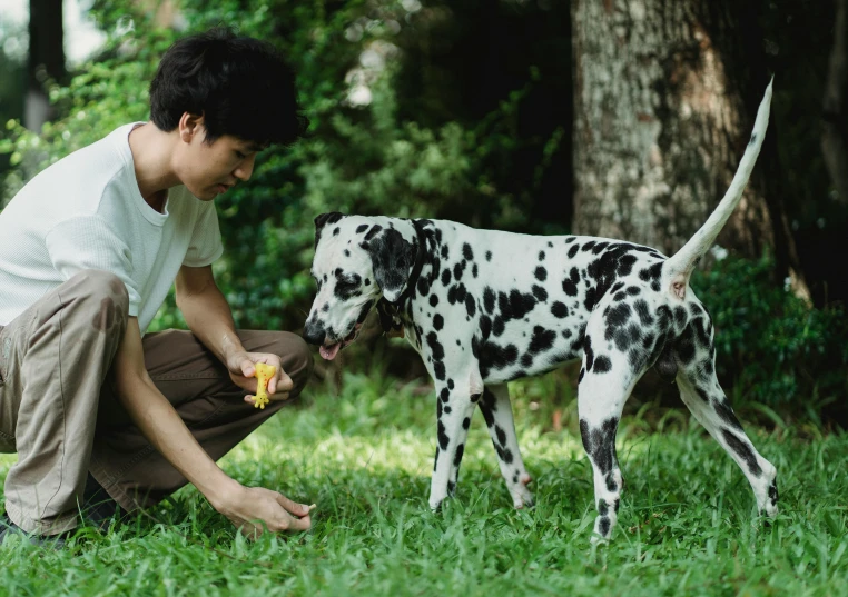 man kneeling down with his dog in grassy area