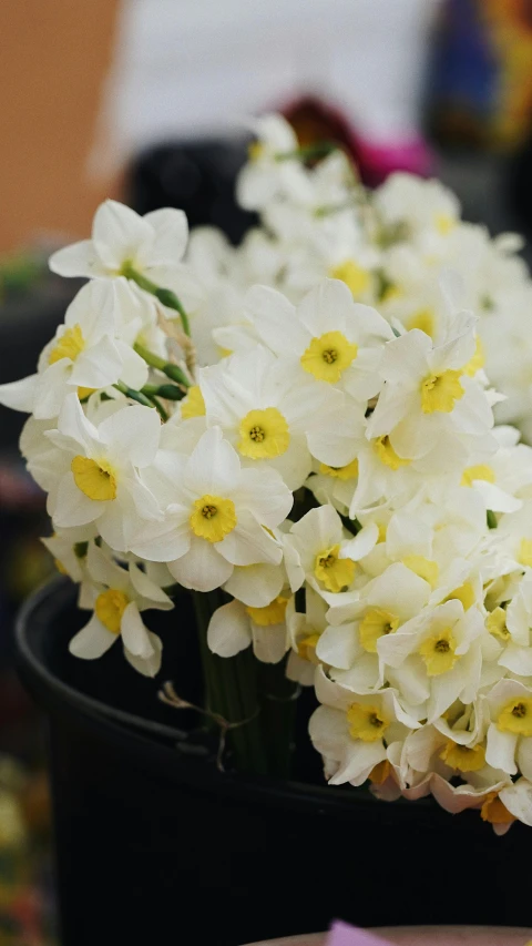 some yellow and white flowers in a black pot