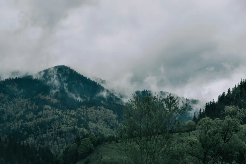 the mountains are covered with trees and fog