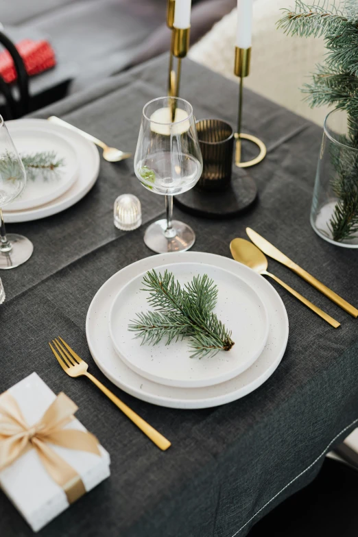 a small pine tree can be seen on a place setting