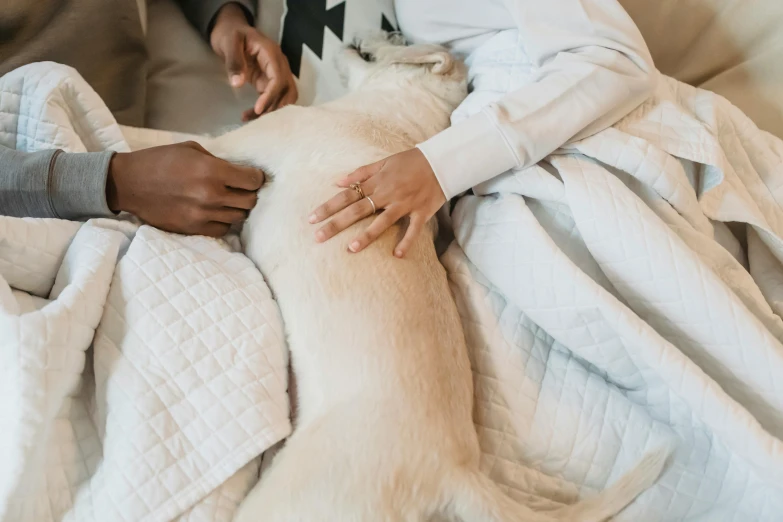 a man petting a dog who is sleeping on a bed