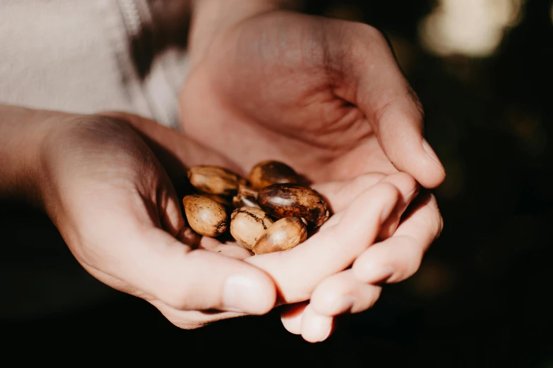 a person cupping seeds in their hands