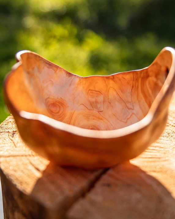 an odd shaped bowl sitting on top of a tree stump