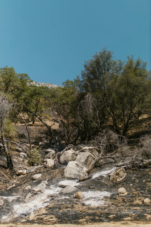 some big rocks and some trees and water