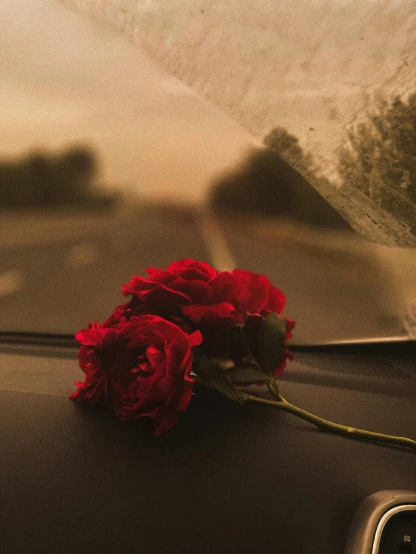 two red roses are on the dashboard of a car