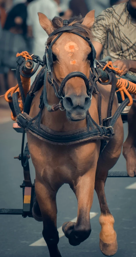 a person riding on a brown horse while wearing a saddle