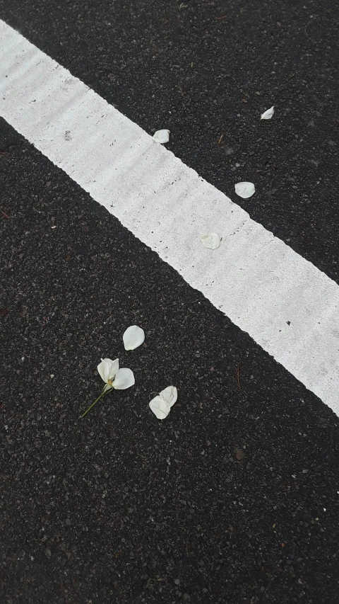 white lines on pavement in front of black street