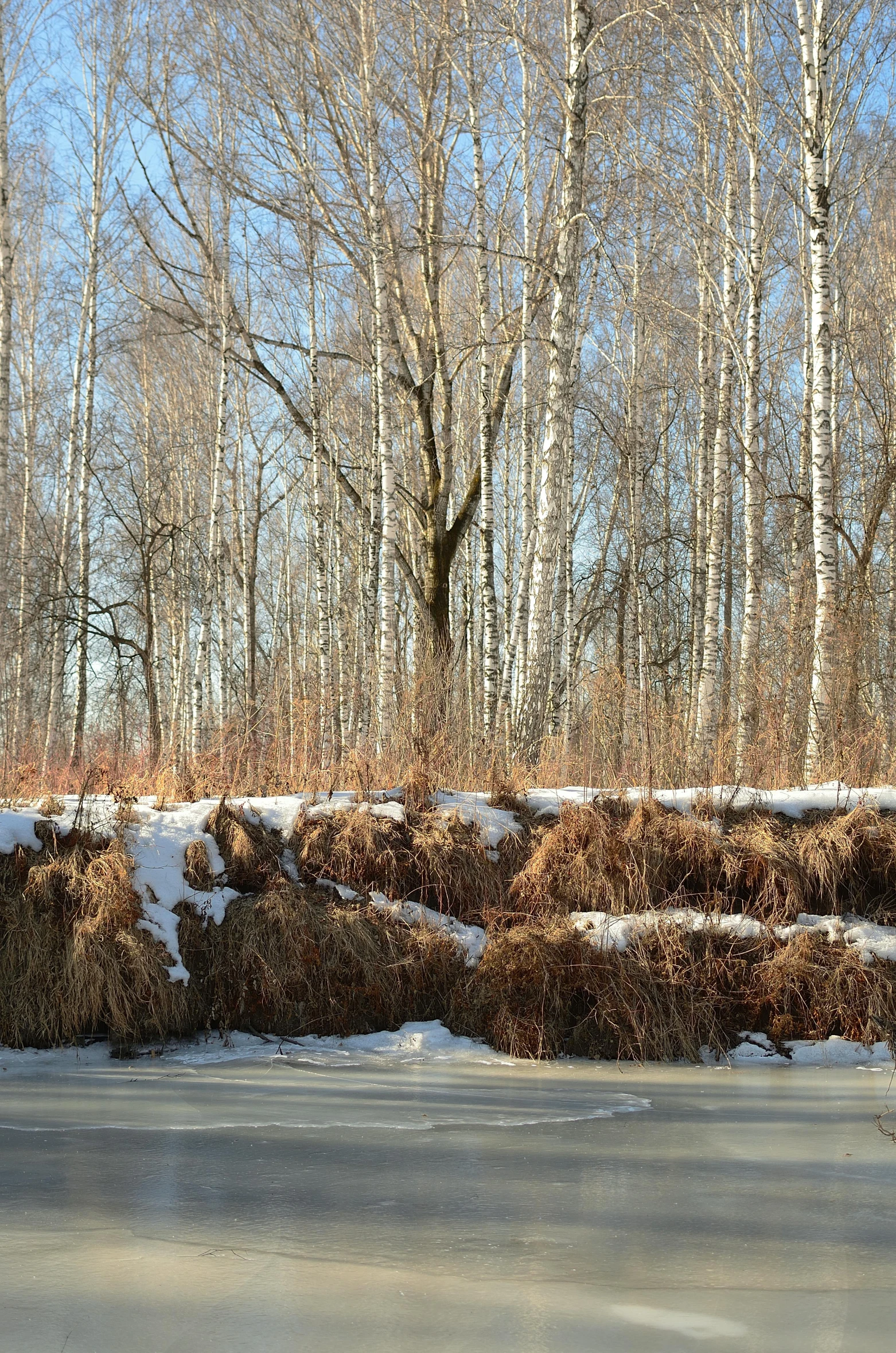 two people on a bench with skis near a tree