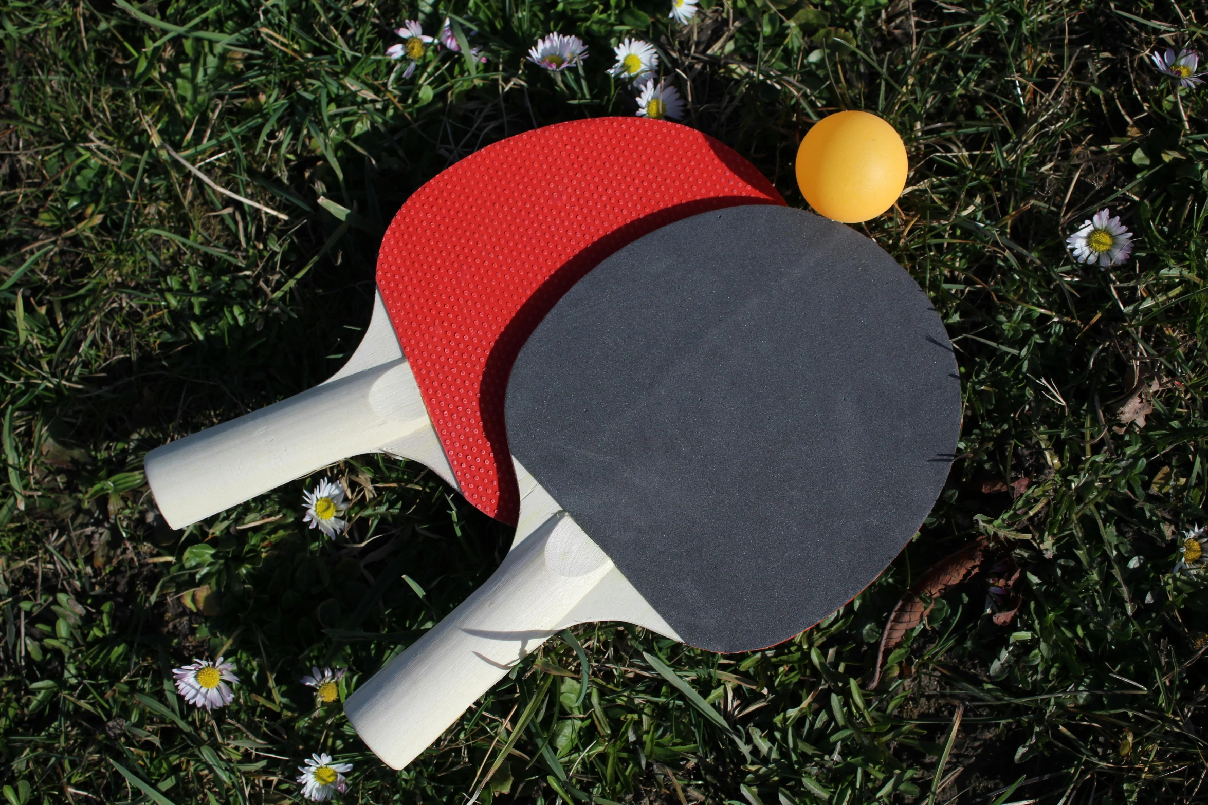a ping pong paddle on the ground next to a ping pong ball