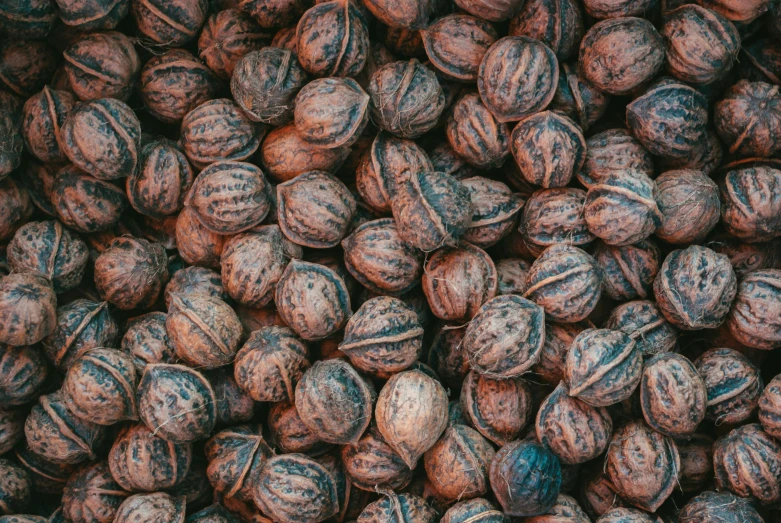 a pile of nut shells that are mostly black and light brown