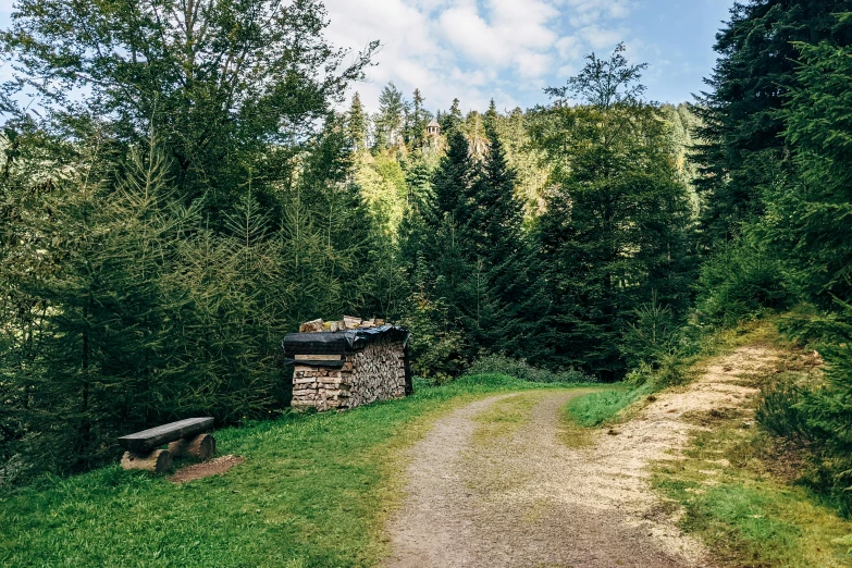 a stone bench on a grassy hill next to a wooded trail