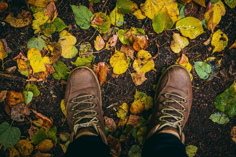 someone is standing on a patch of leaves and wearing brown boots