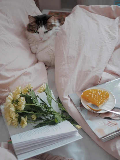 a cat is sitting in bed with pink sheets and yellow flowers