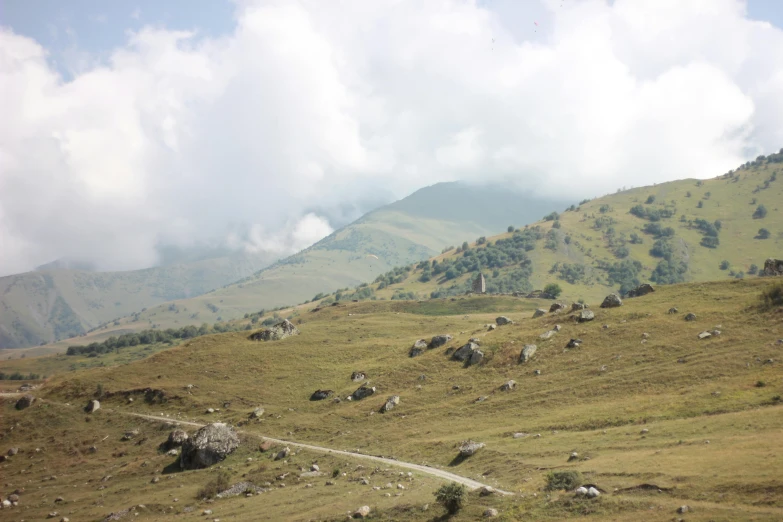 the sheep is in a hilly field near mountains