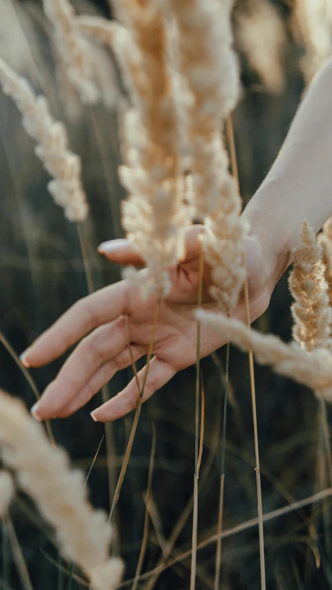 a woman's hand holding grasses over the ground
