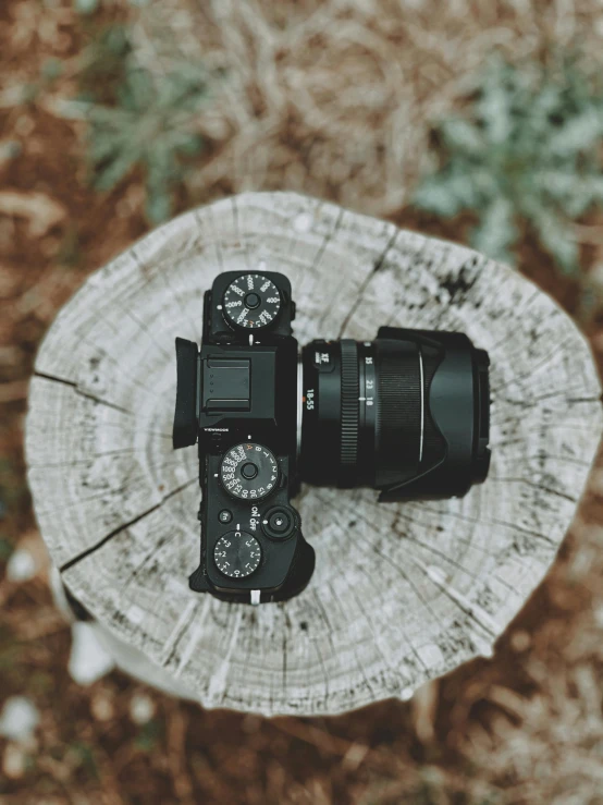 two camera bodies placed on a tree stump