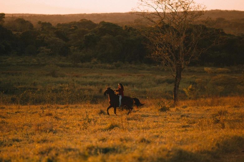 a person riding a horse on an open field