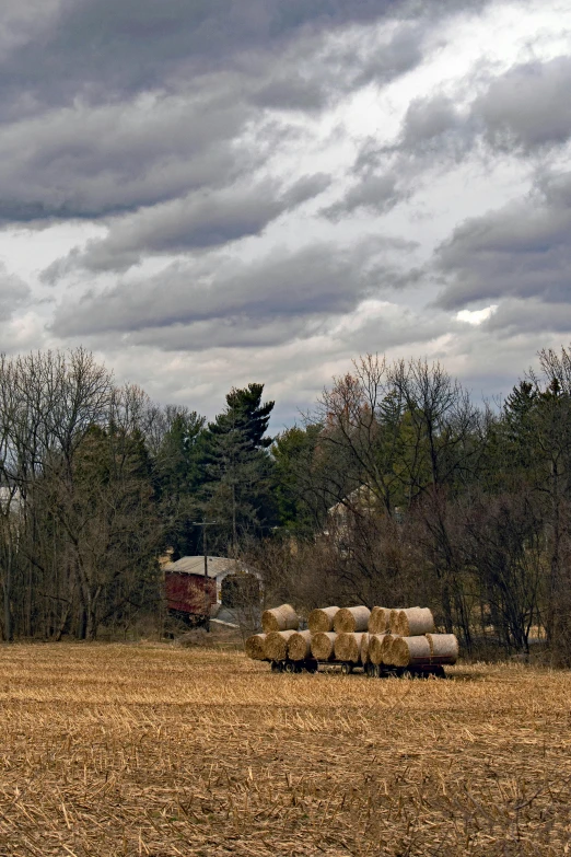 some hay is standing in the middle of a field