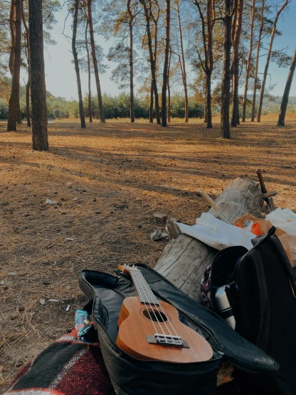 an outdoor picnic with a ukulele, guitar and camp table