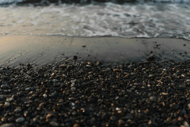 a sandy shore that has little shells on it