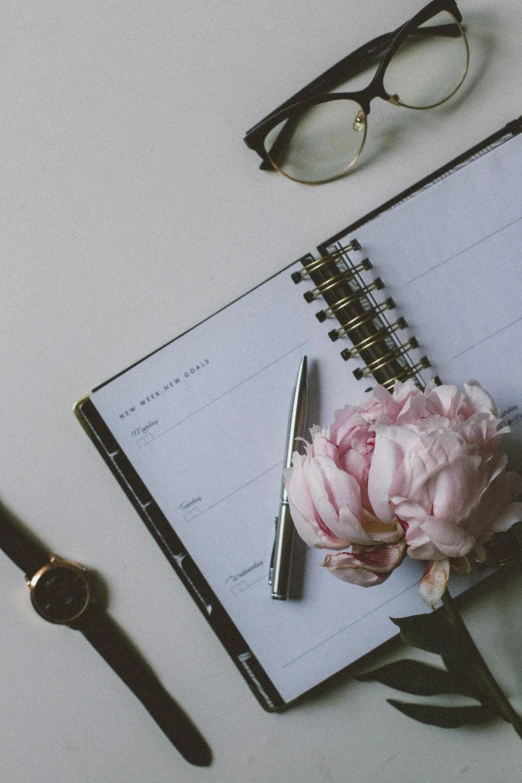 a pink flower is laying next to a notepad on top of an open notebook