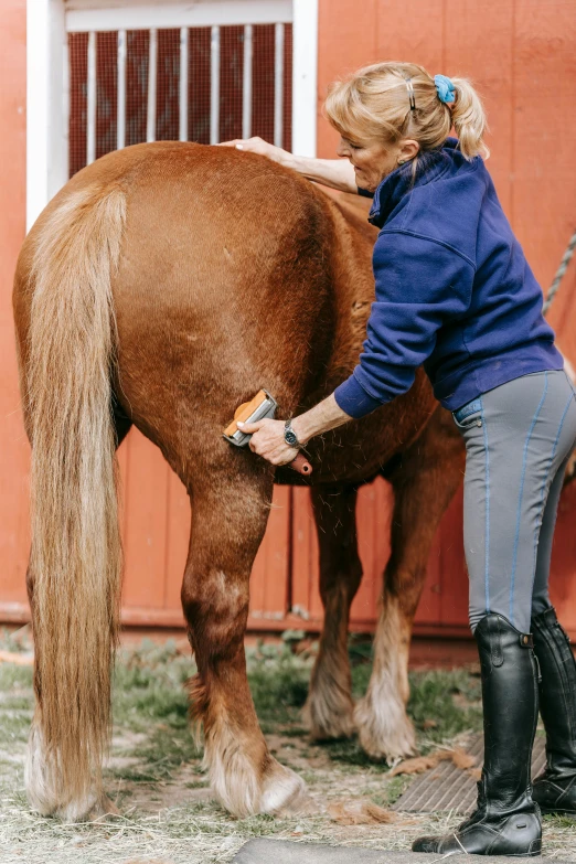 a woman is washing the nose of her horse