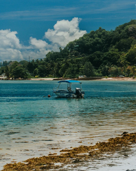 a boat on the water with sand and water plants