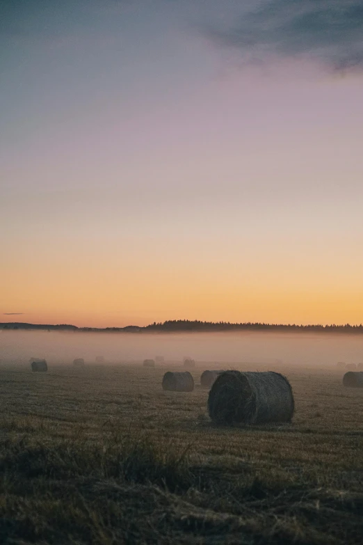 an empty field with hay bales at dusk