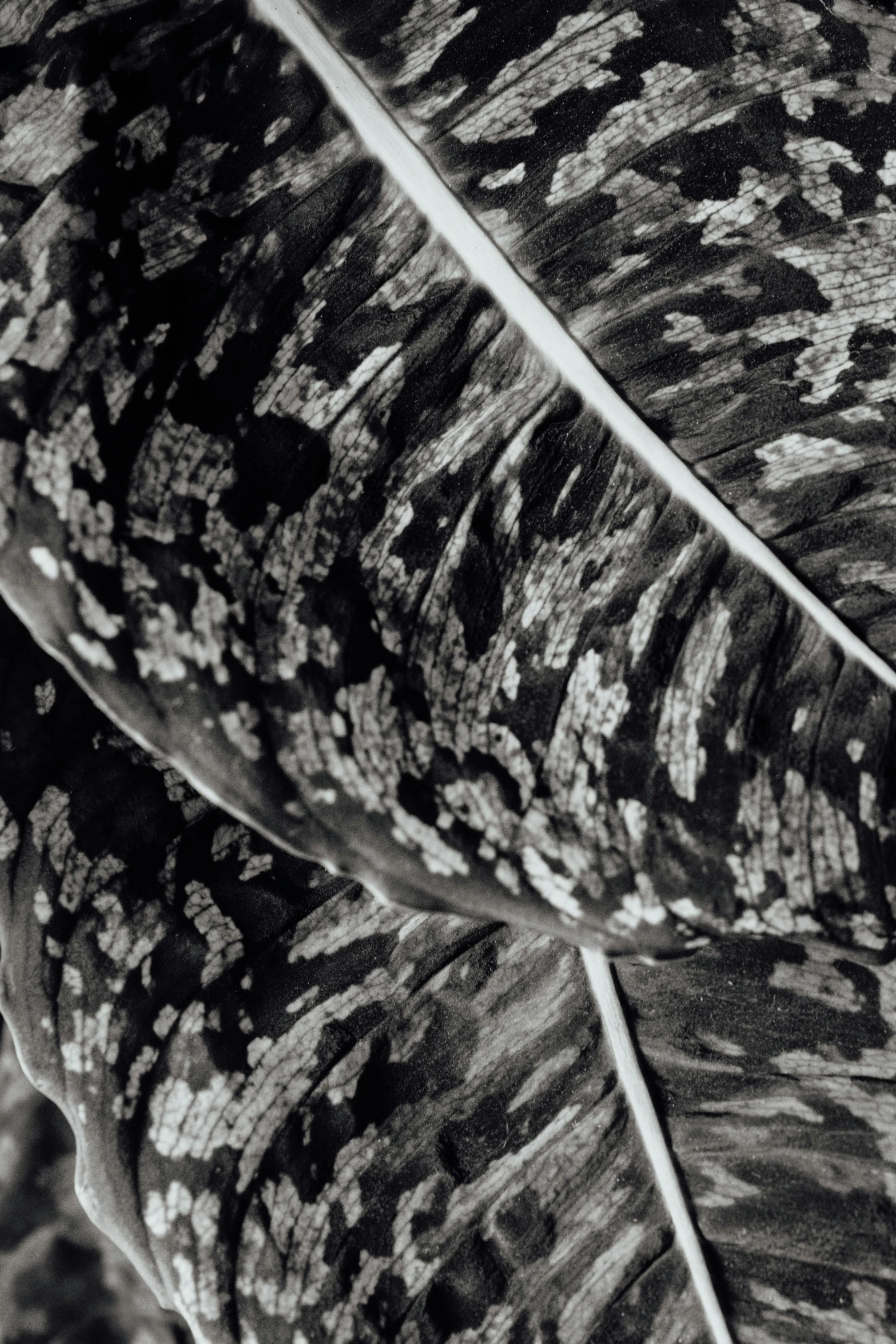 a close up of an abstract patterned umbrella